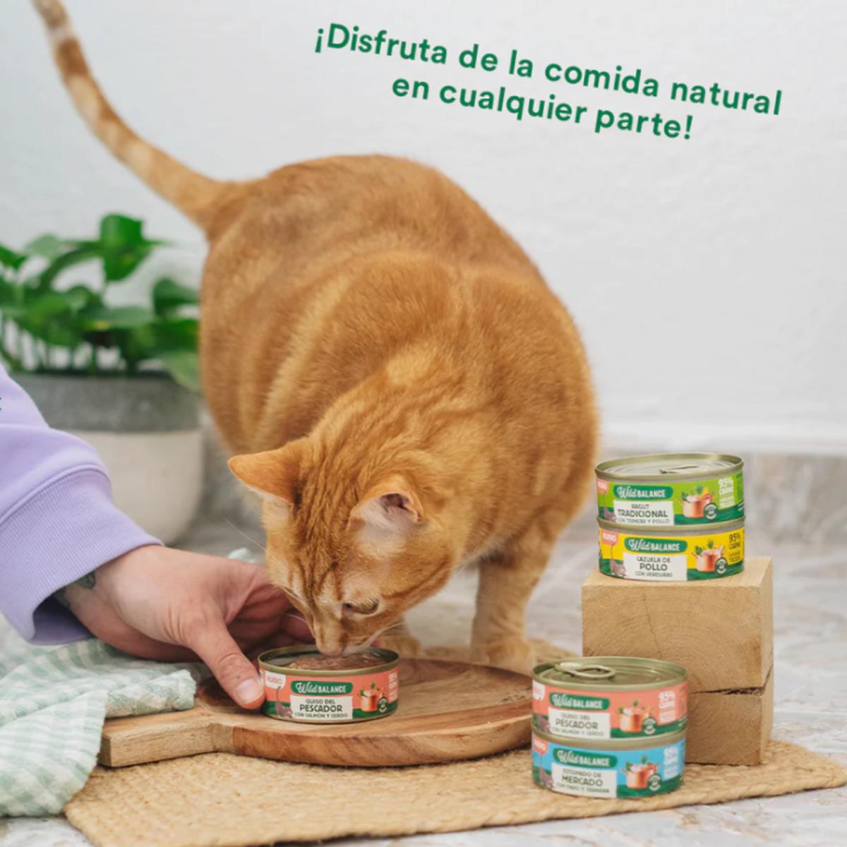 Boîte complète de ragoût du pêcheur au saumon et au porc pour chats Wild Balance 80 g