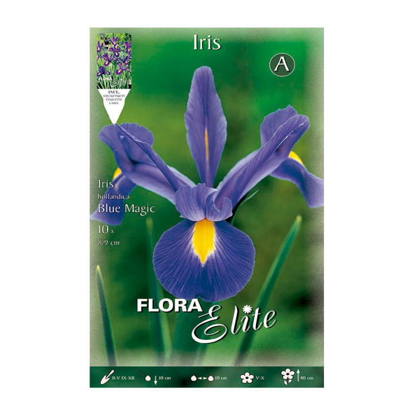 Bulbi Iris Holanda blu 10 pz