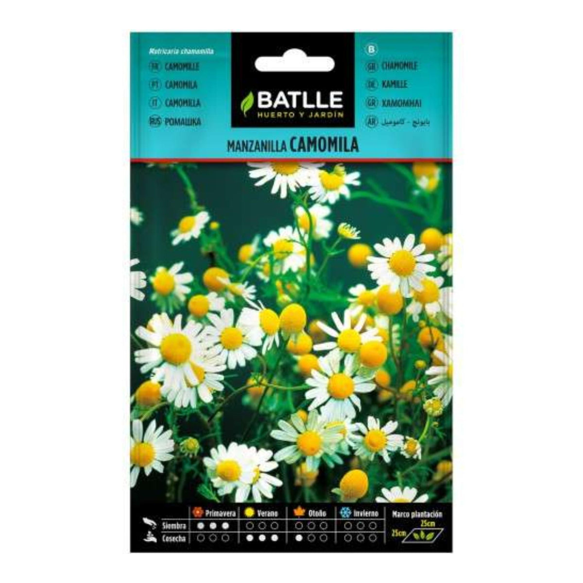 Kamillensamen Batlle