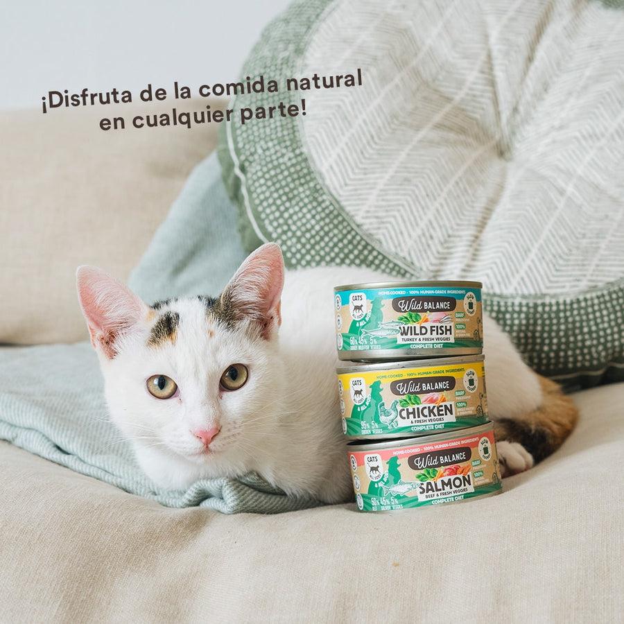 Confezione di scatolette di pollo BARF per gatti 6 x 120 g Wild Balance