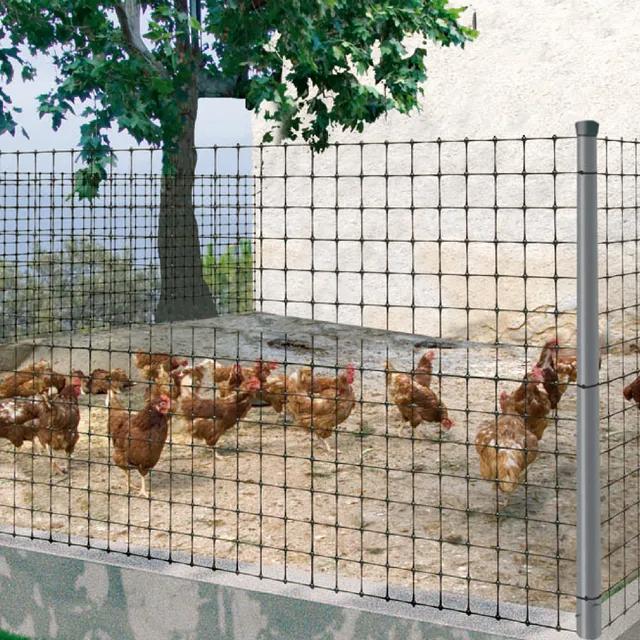 Siatka do kurników Avinet Nortene 24 x 27 mm