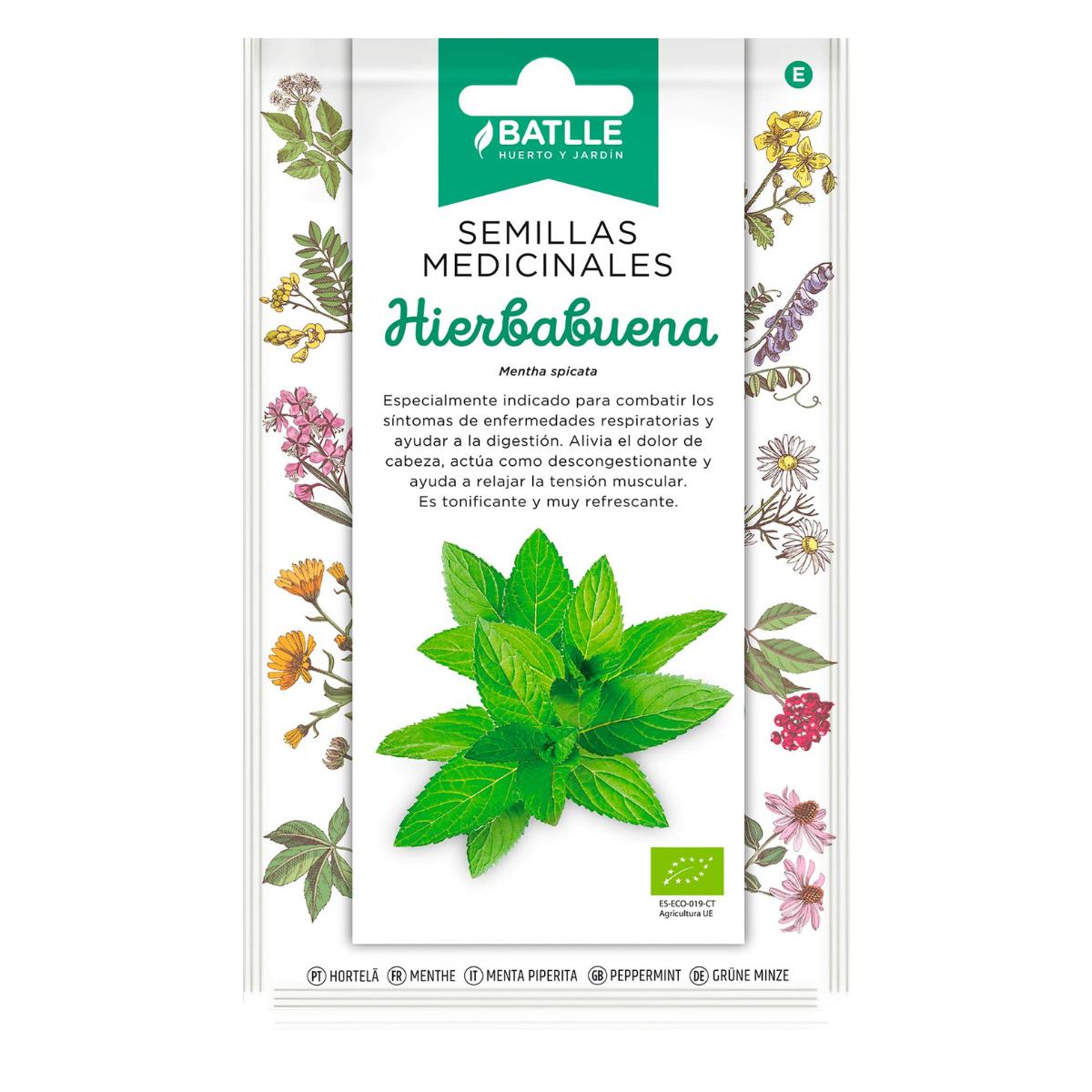 Graines de menthe verte bio Batlle