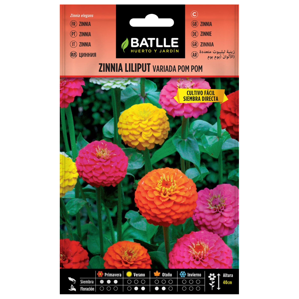 Zaden van Zinnia Liliput gemengd Pom Pom Batlle