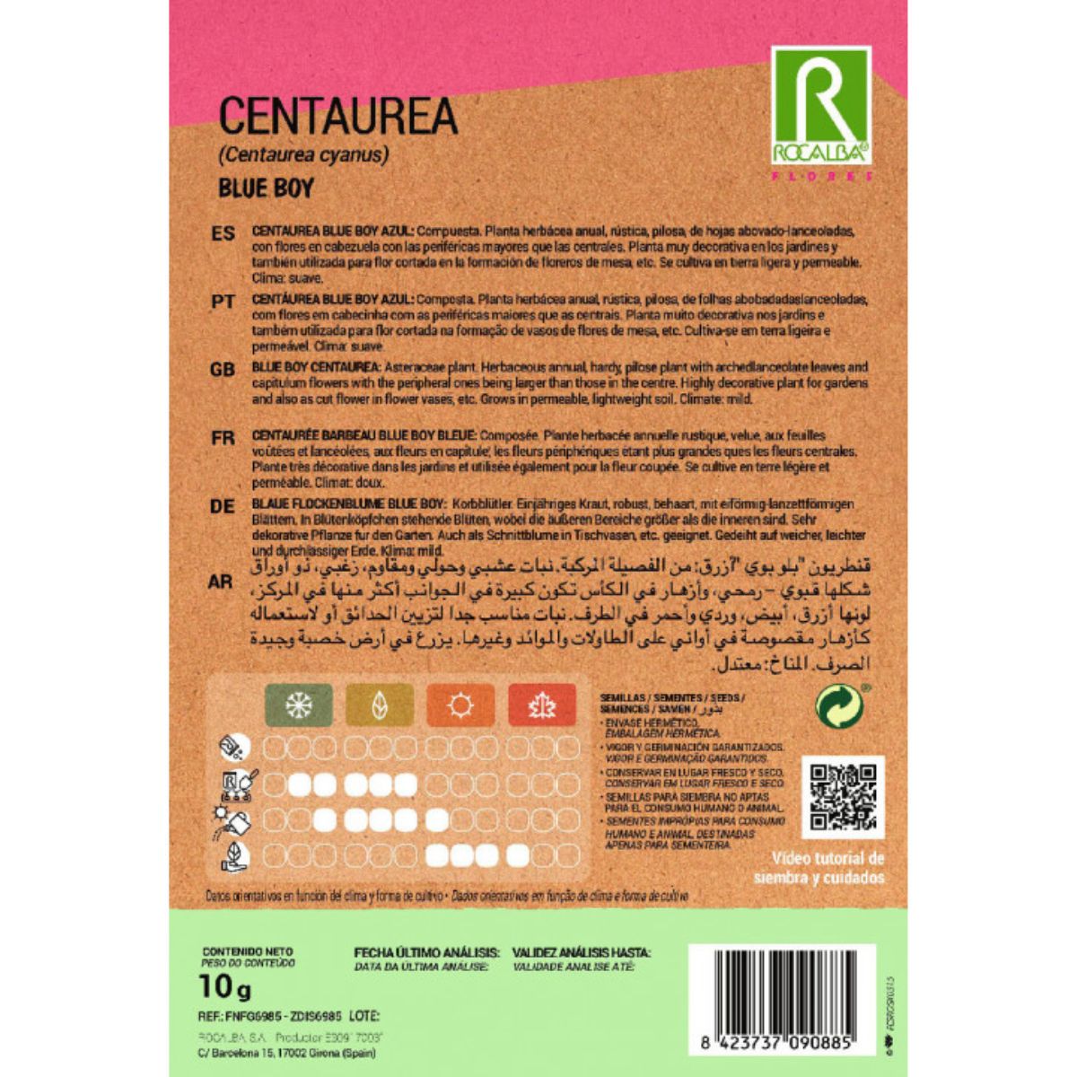 Nasiona Centaurea blue boy, niebieskie