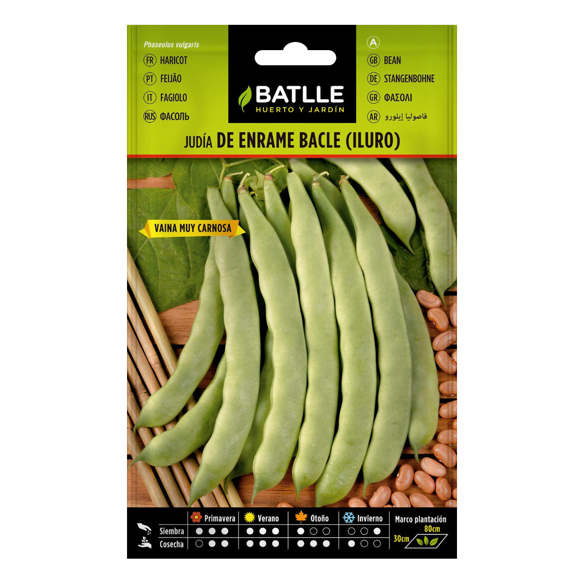 Graines de haricots Iluro 100 g