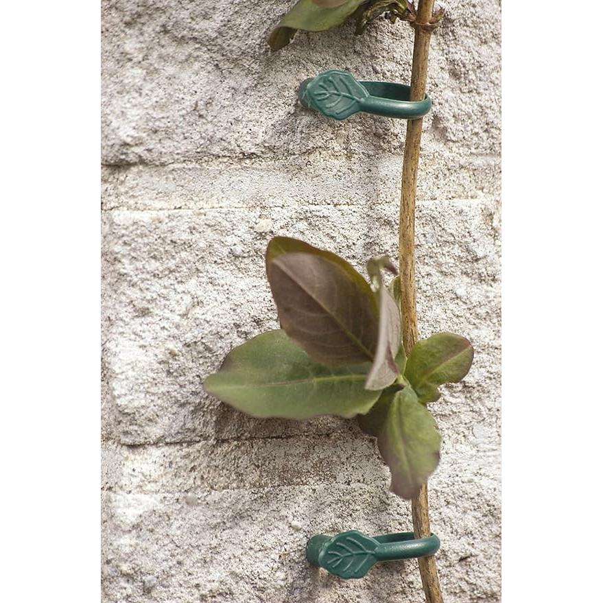 Zacisk do pnączy z gwoździem Biotop 8 szt.