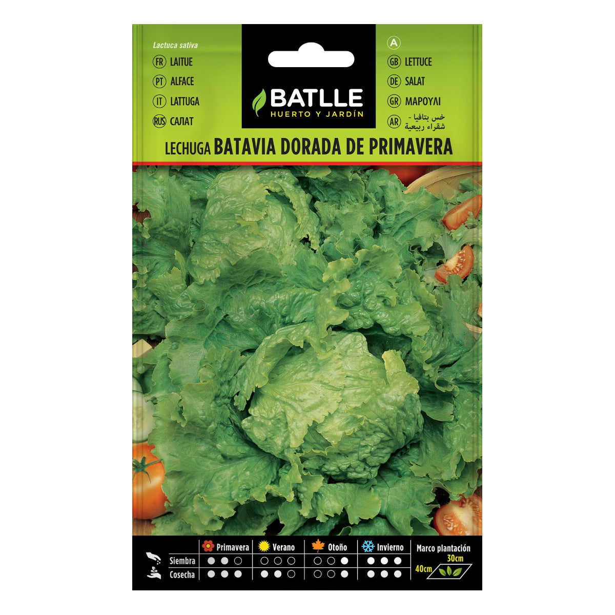 Batlle Golden Spring Lettuce Seeds