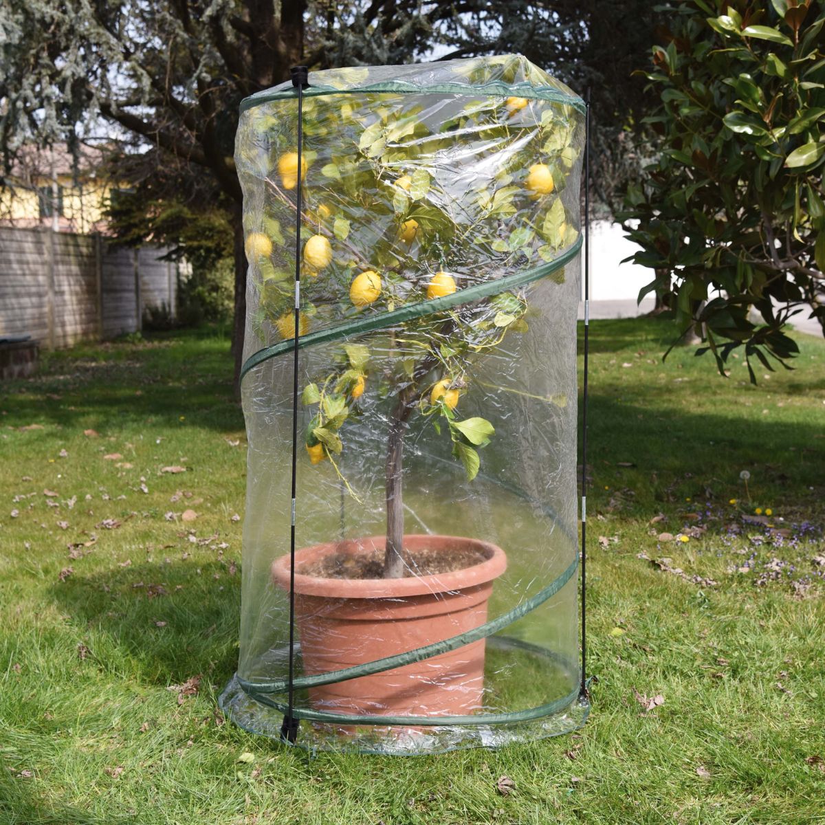 Serra pop-up Verdemax ø 70 x 110 cm