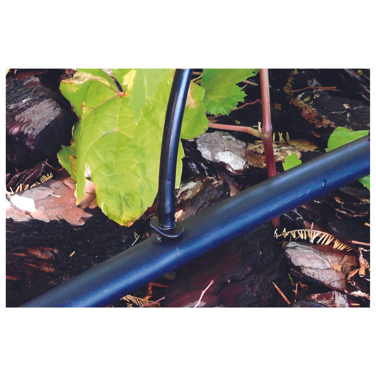 Mikroröhrchenverbindung 4 mm Planeta Huerto 10 Stück