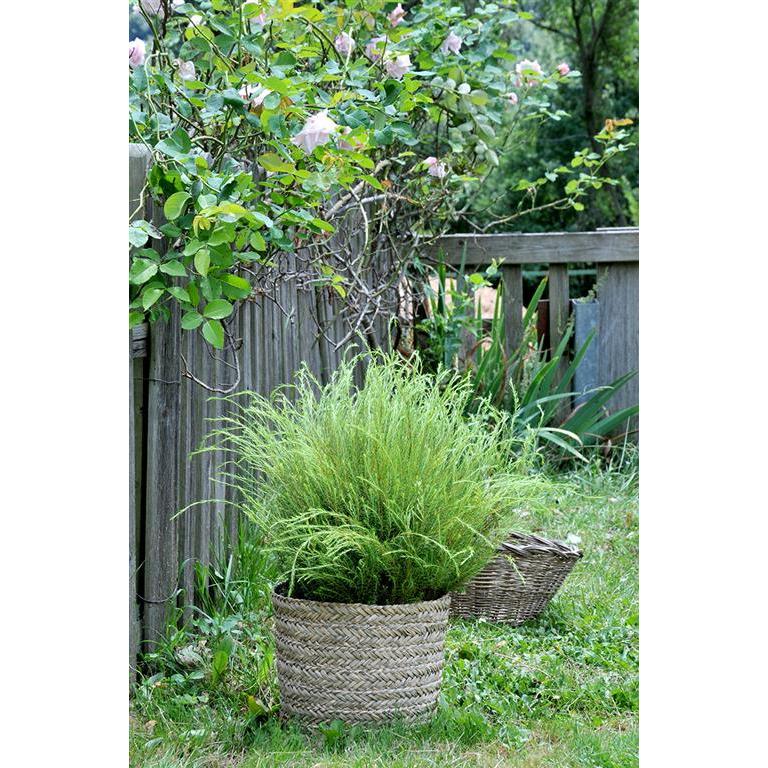 Kruköverdrag Basket Rinia Natural 35x32 cm