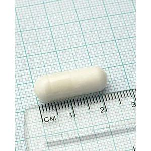 Acétyl-L-carnitine Lamberts