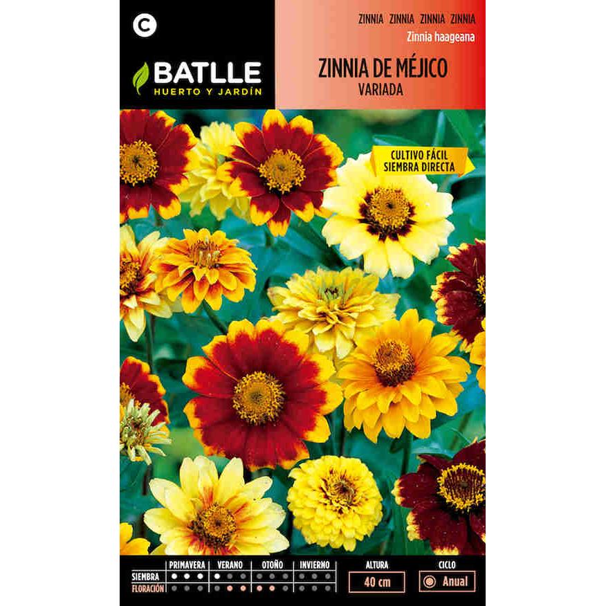 Graines de zinnia du Mexique assorties Batlle