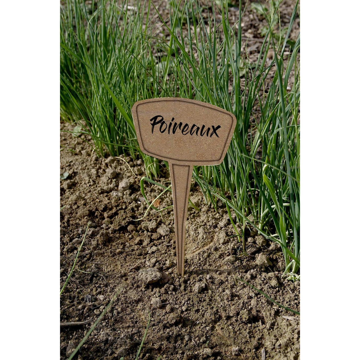 Confezione da 5 etichette per piantagioni 30% fibra ecologica