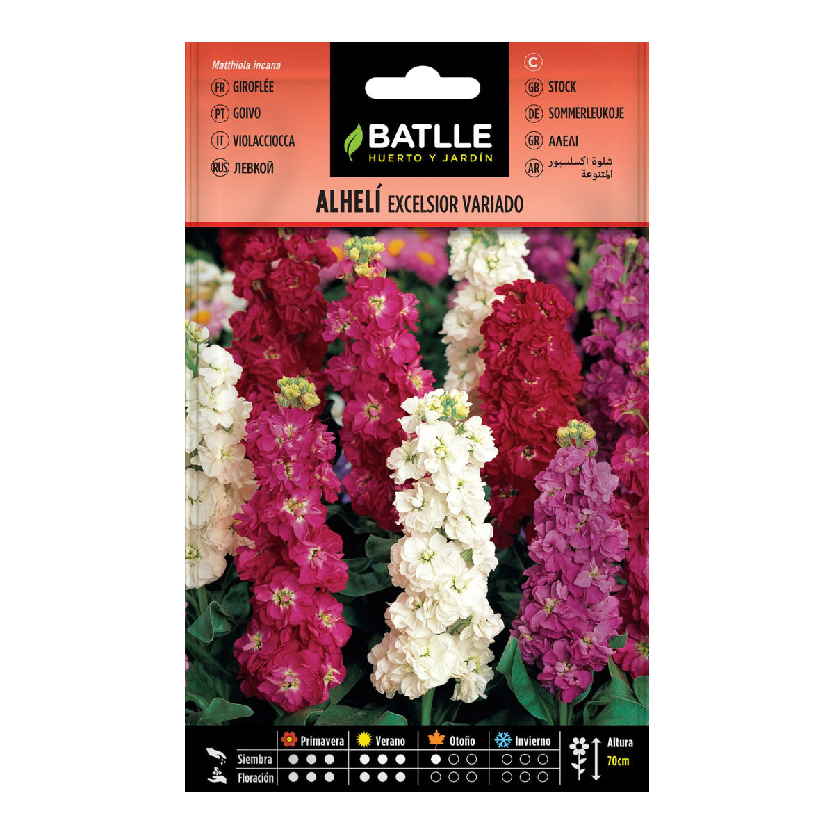 Samen von riesigen, bunten Stockrosen Excelsior von Batlle