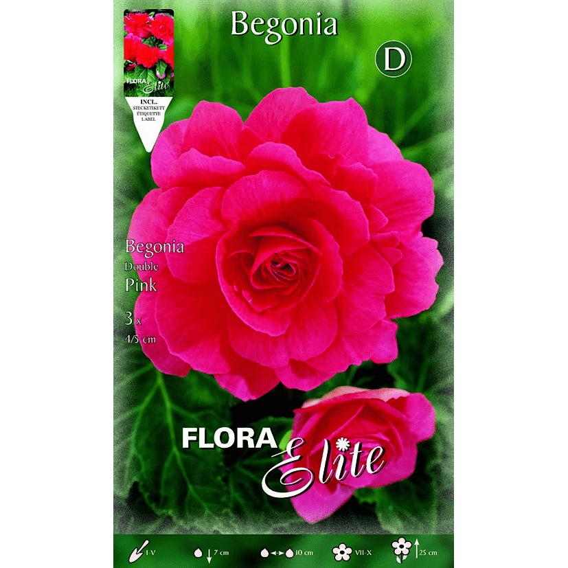 Bulbe de bégonia double rose 3 unités