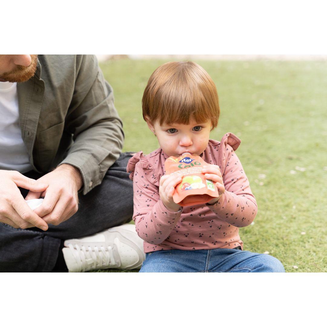 Fruktpåse 100 % ekologisk med smak av äpple, jordgubb, banan och blåbär 4x100 g-Hero Solo