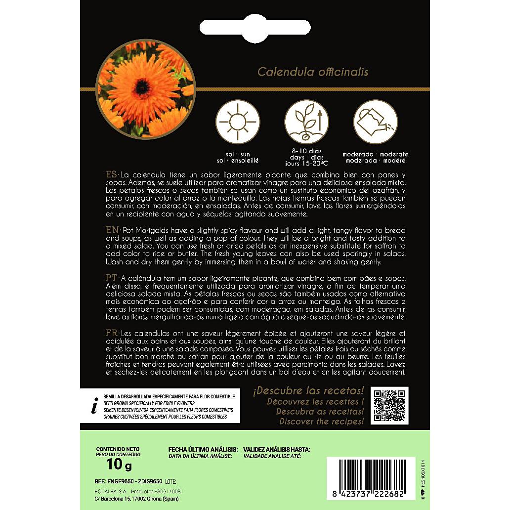 Eetbare bloemzaden van goudsbloem Rocalba