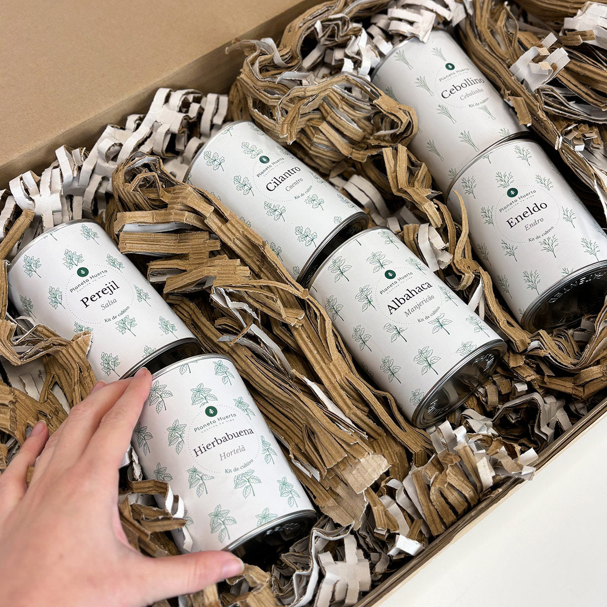 Kit per la coltivazione aromatica Pacco Pettorale Planeta Huerto