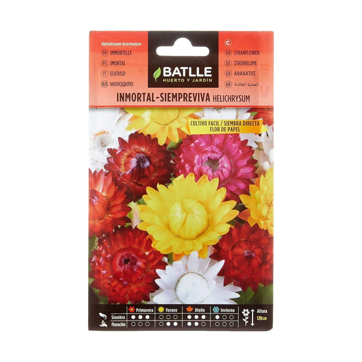 Semi di immortale sempreviva fiore di carta Batlle