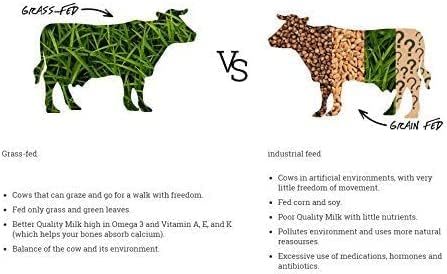 Natruly Protéine Whey Bio Chocolat 350 g 350 g