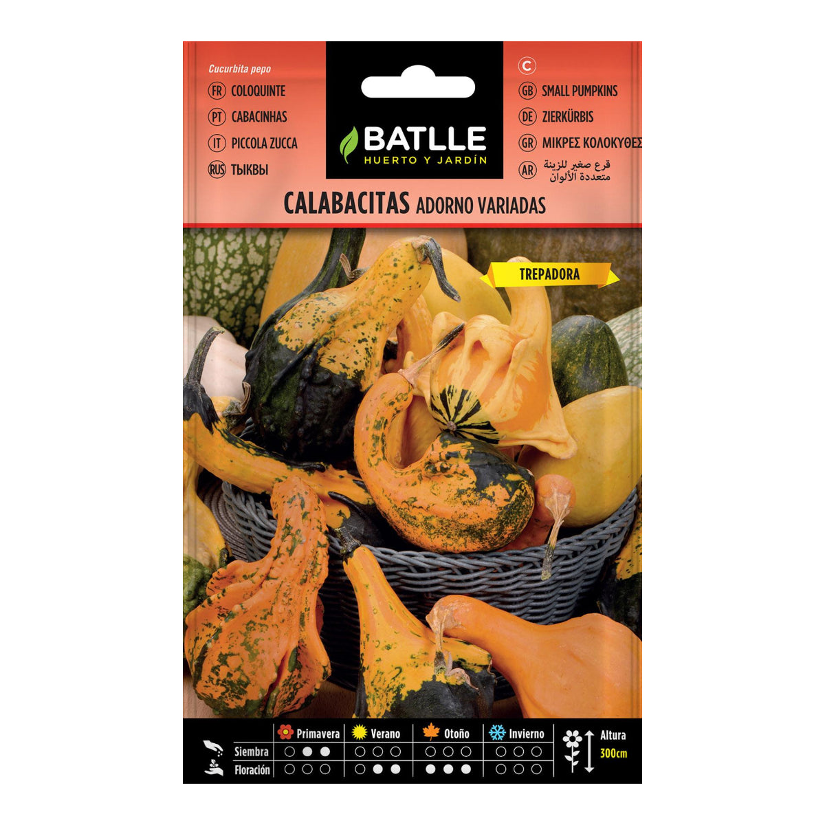 Semi di zucchine ornamentali Batlle