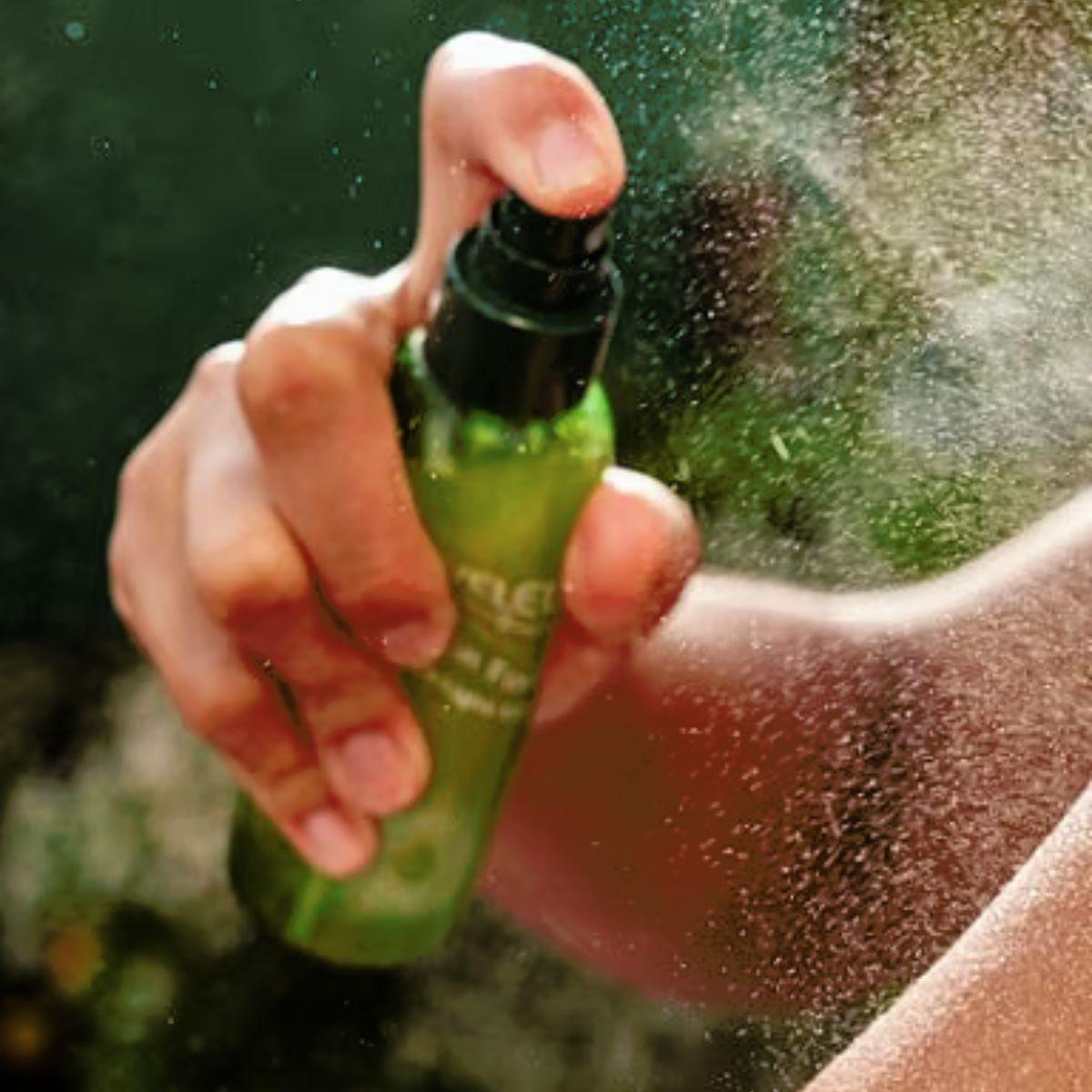 Skin Food olio secco ultraleggero Weleda 100 ml