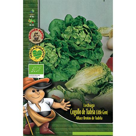 Lettuce Seeds Tudela Clemente Baby Lettuce Hearts
