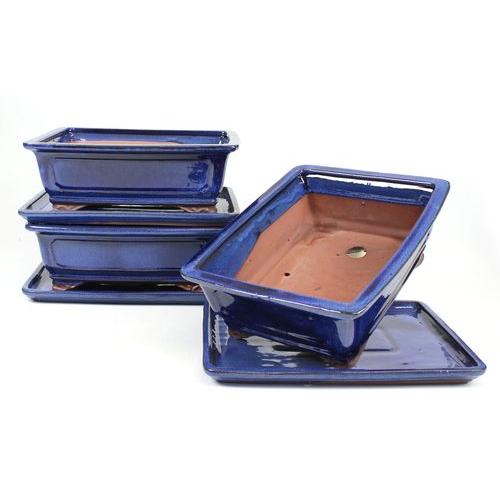 Vaso bonsai rettangolare 25 cm con piatto blu