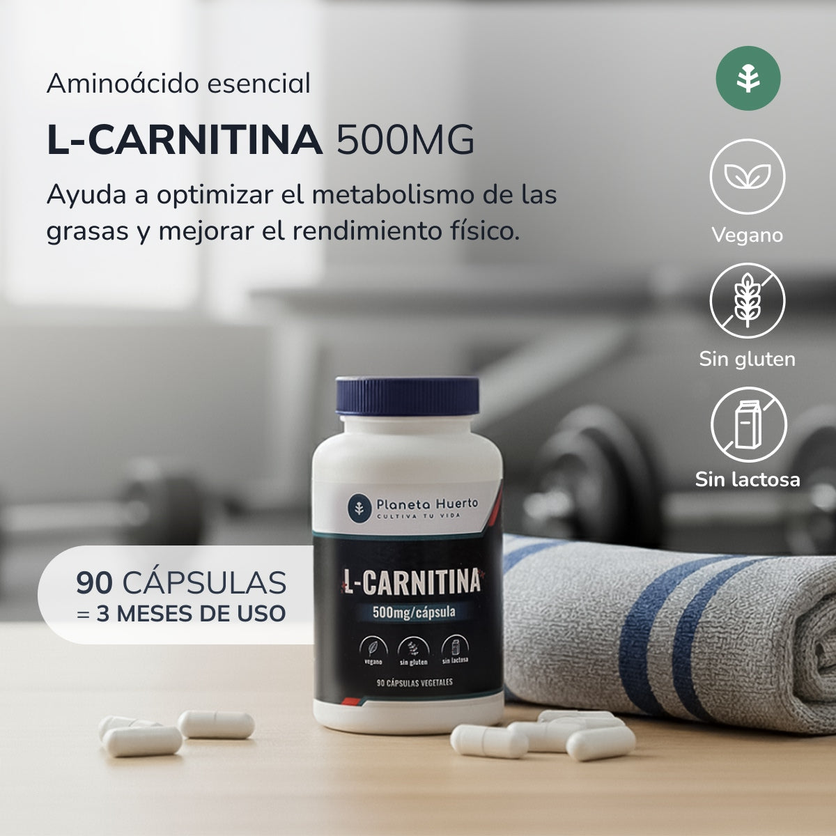L-Carnitina 500 mg Planeta Huerto 90 Cap.