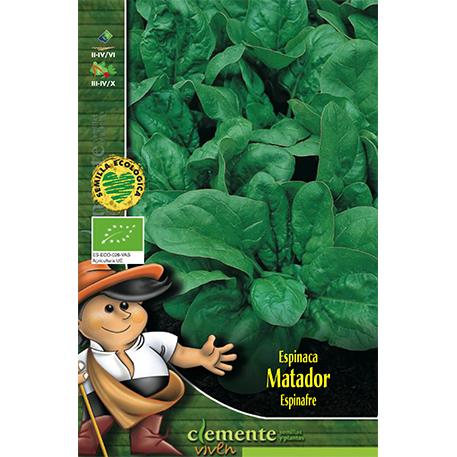 Nasiona szpinaku Matador Clemente