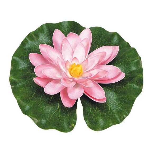 Rosa näckros med droppar