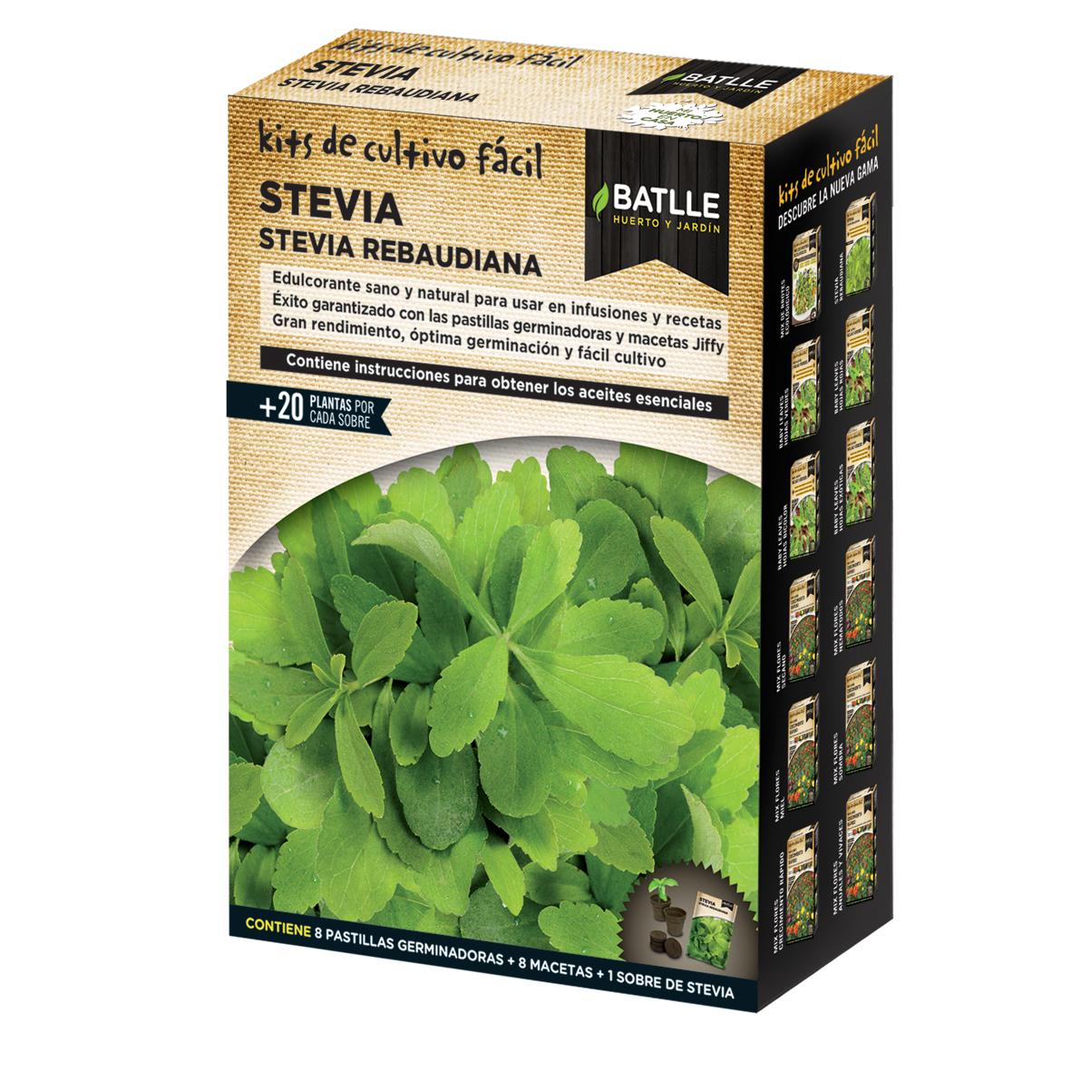 Stevia Rebaudiana Batlle kweekset
