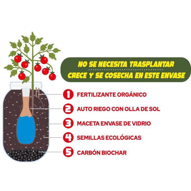 Kit per coltivazione indoor Pomodoro Cherry