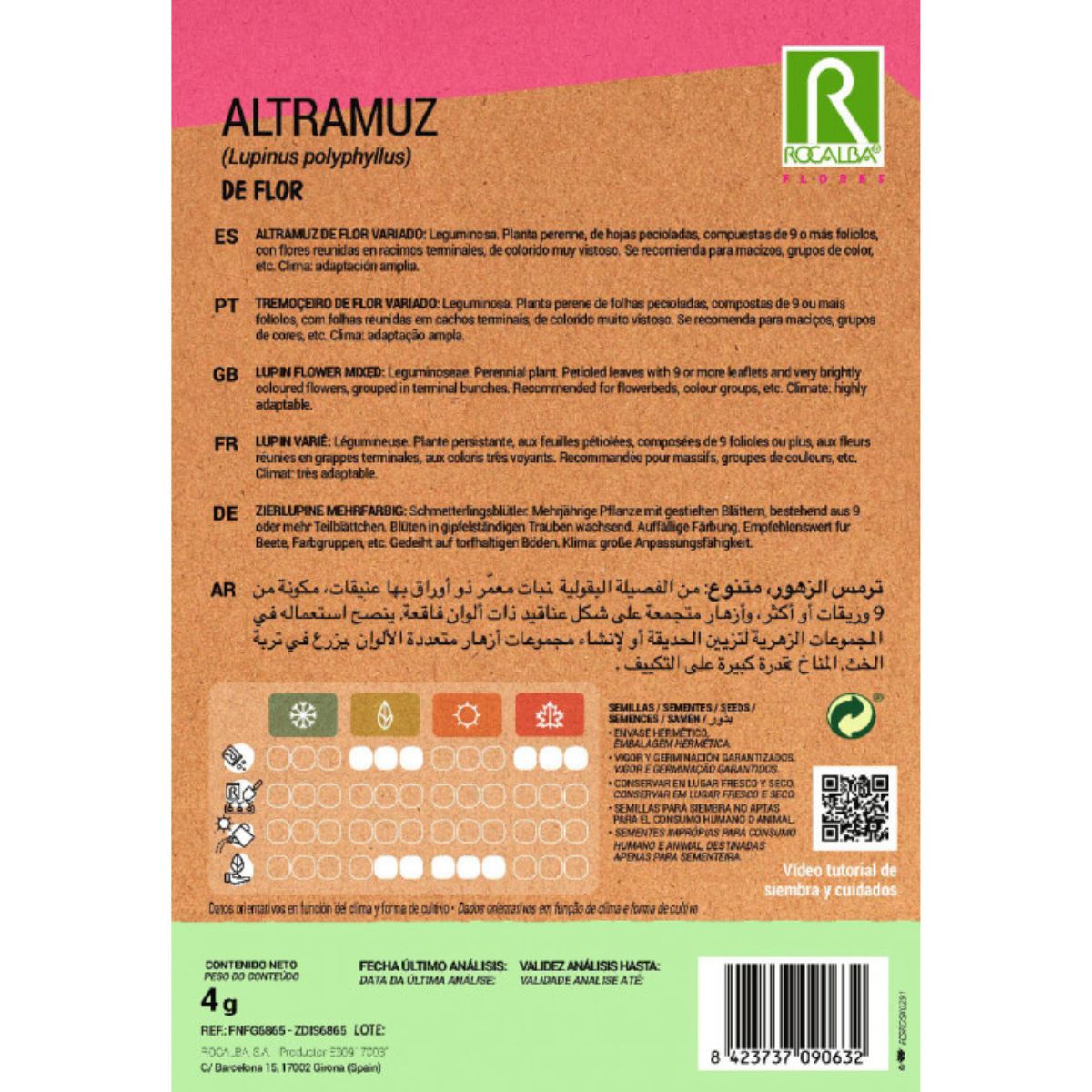 Graines de lupin à fleurs, assorties