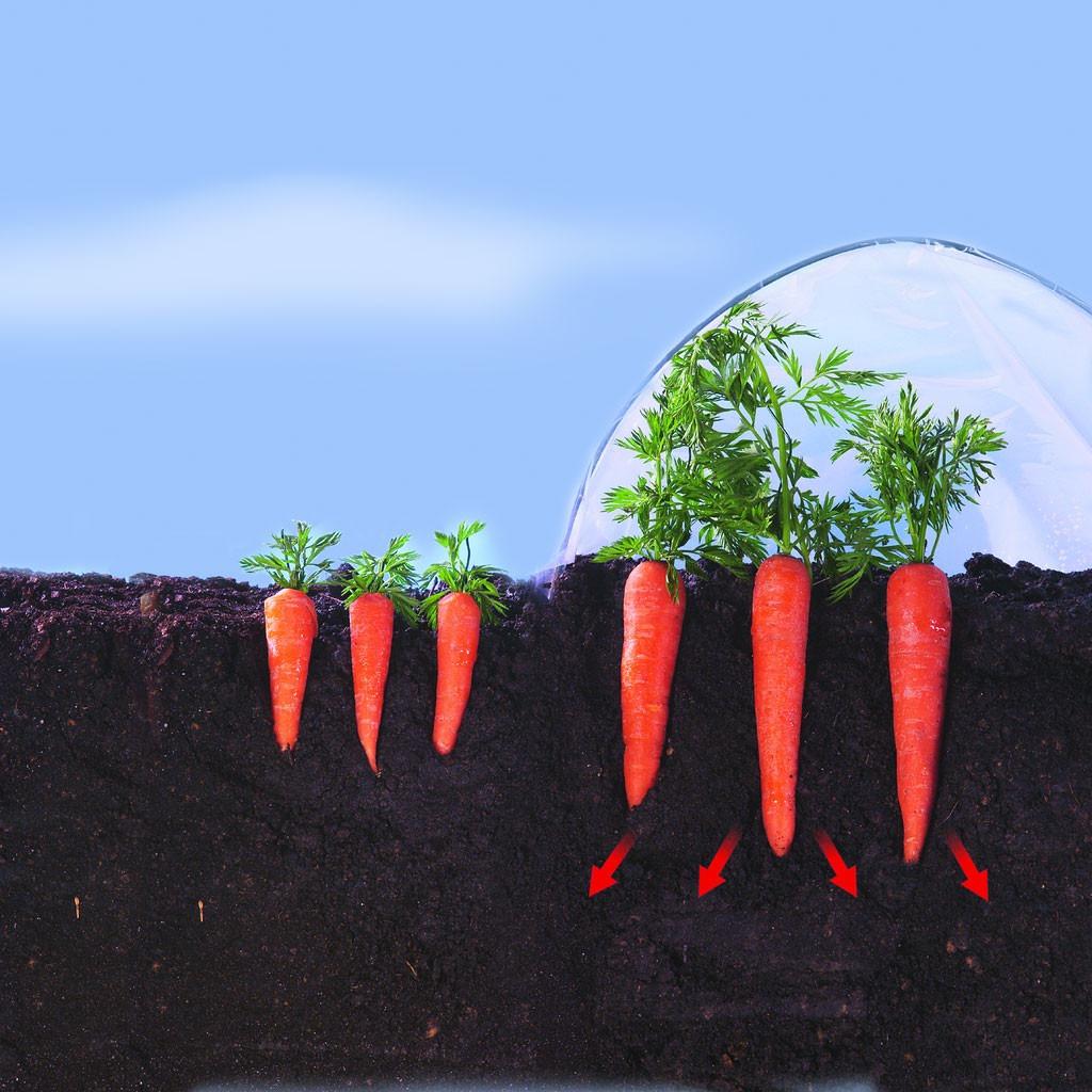 Film de culture pour légumes précoces Climafilm Nortene 2 x 5 m