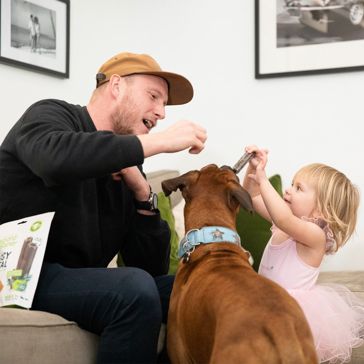 Doggy Dental pour grands chiens menthe et fraise Edgard Cooper 7 sticks