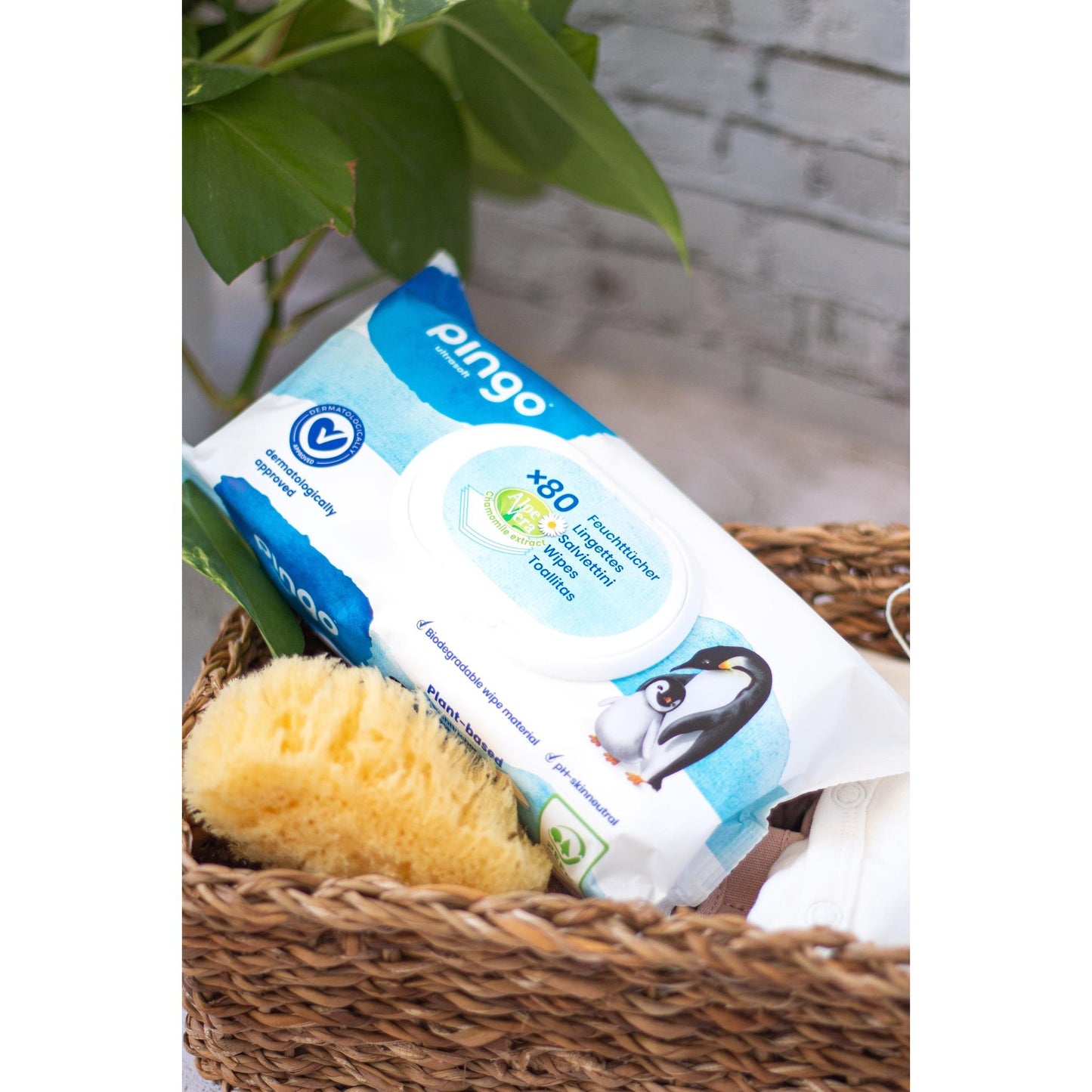 Pack of 4 Pingo 100% biodegradable wet wipes, 80 units