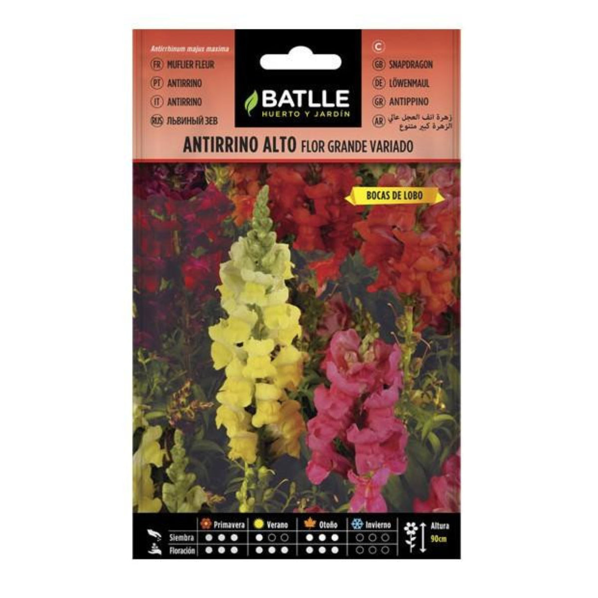 Batlle large-flowered snapdragon seeds