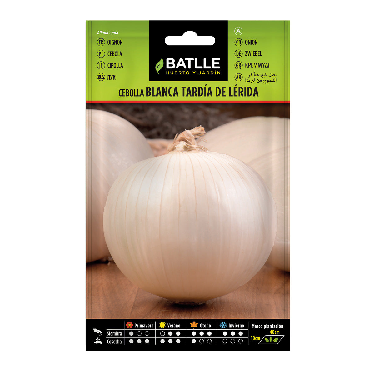 Samen für große Spätzwiebeln aus Lérida Batlle