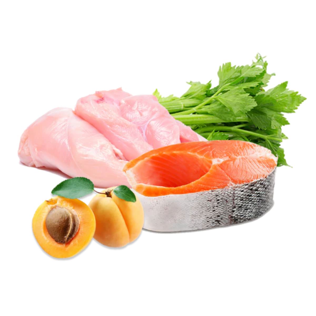 Cibo umido Barf per cani Tacchino e Salmone Select BIO Puromenu 400 g