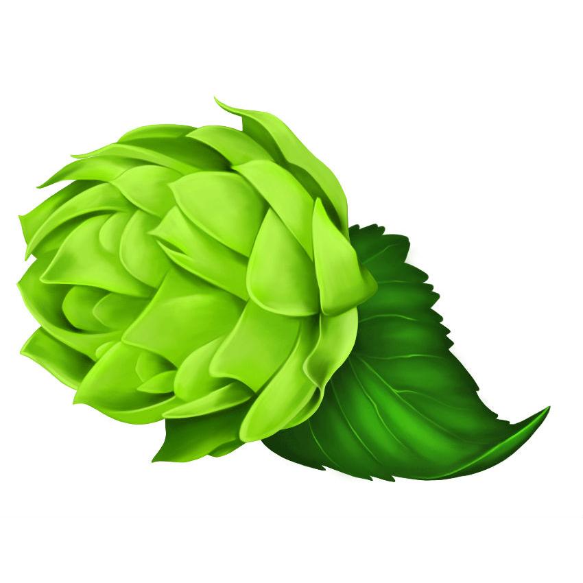 Shampoo voor meer volume Honing en bier 250 ml