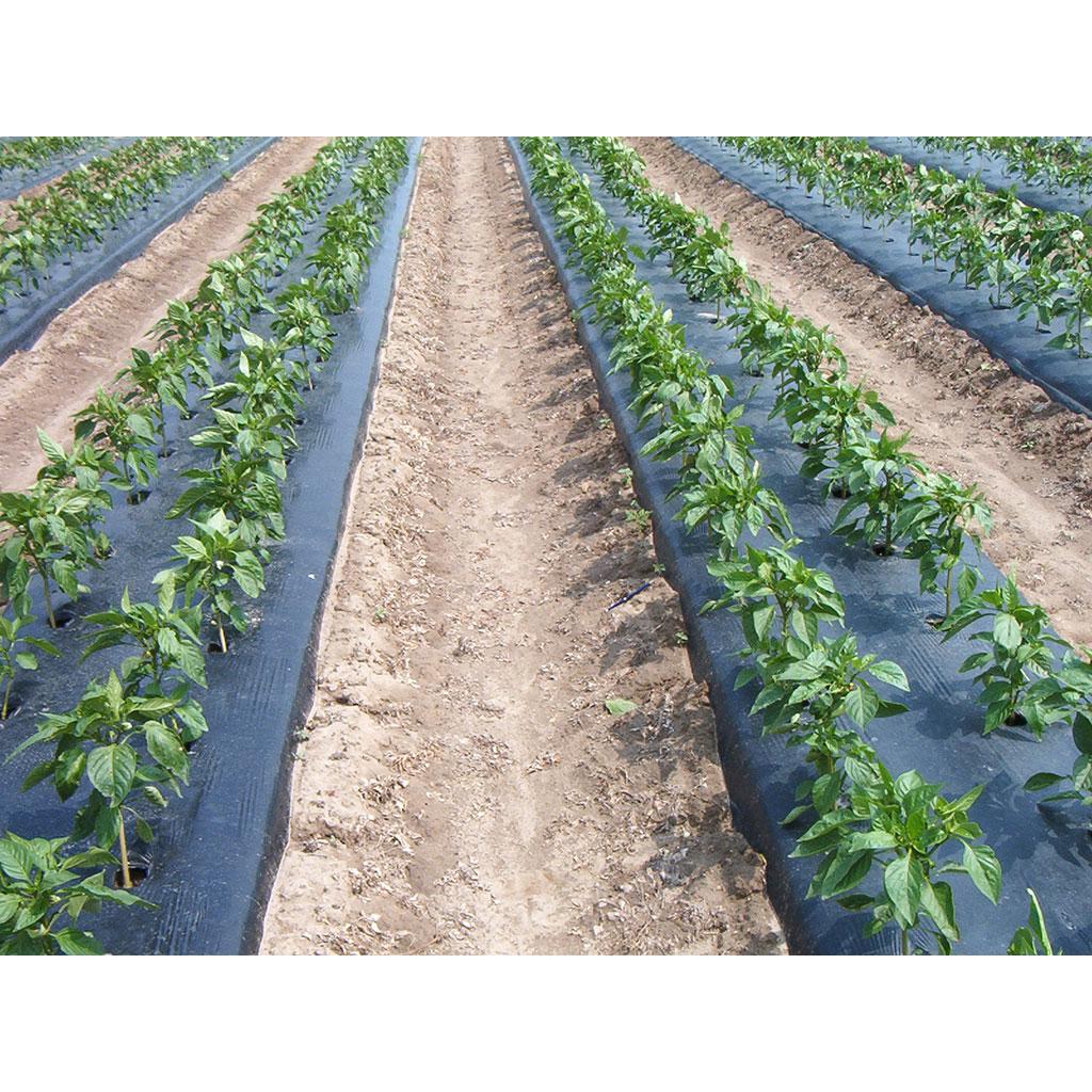 Mikroperforierte Folie 1,4 x 10 m Faura