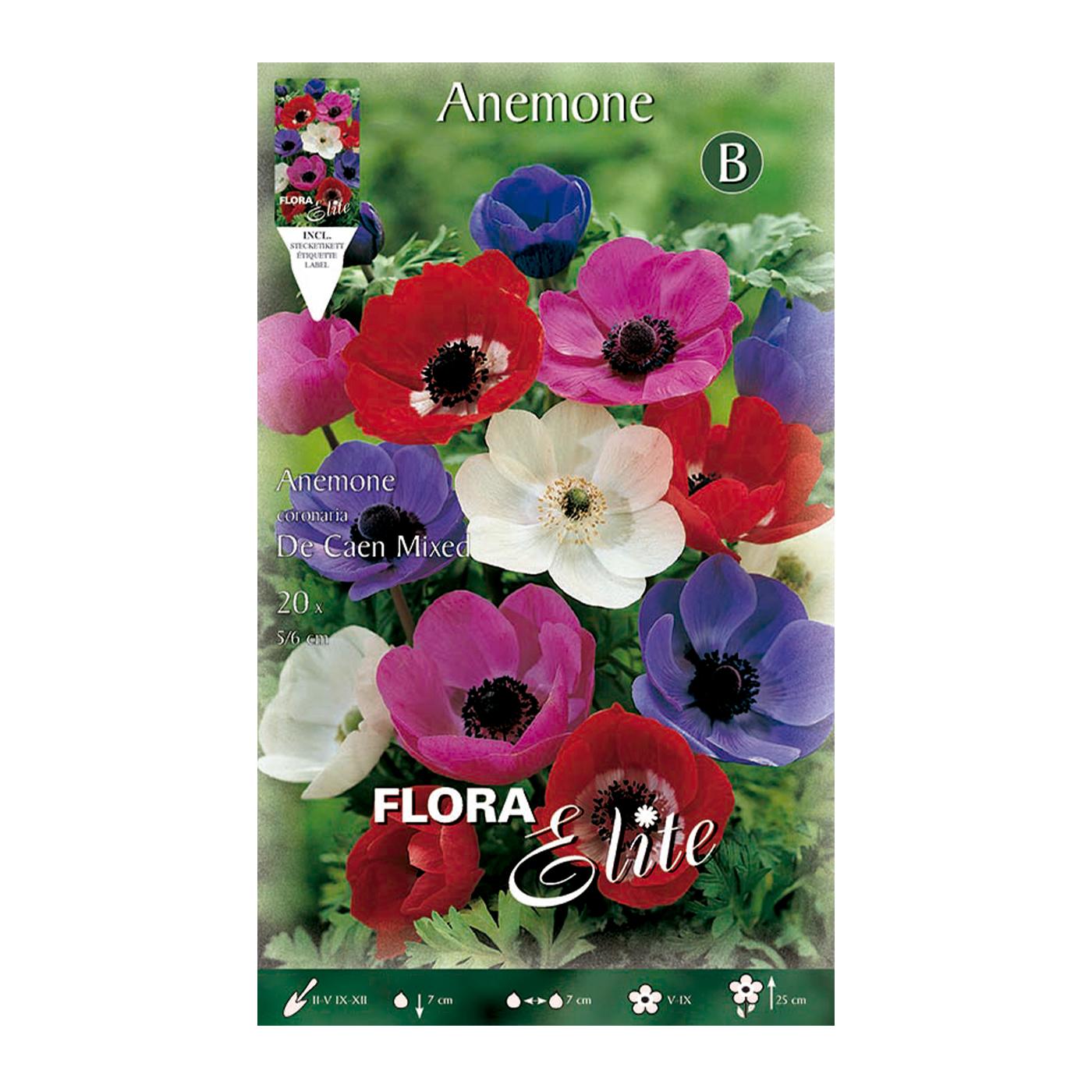 Anemoonbollen uit Caen, mix van 20 stuks