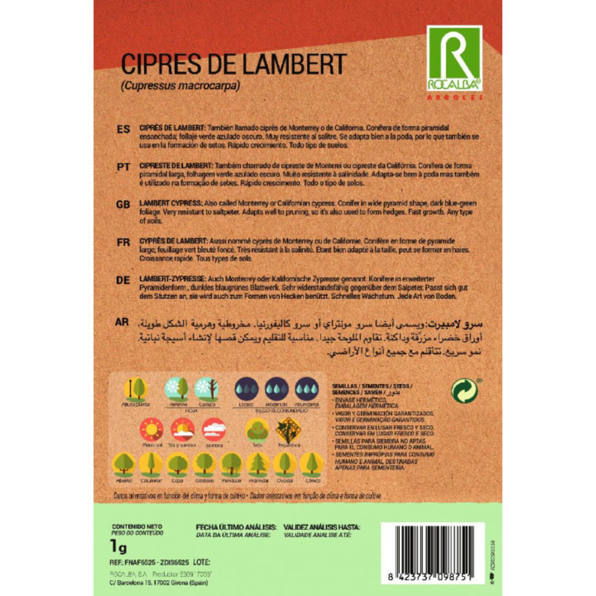 Semi di cipresso di Lambert Cipressi macrocarpa