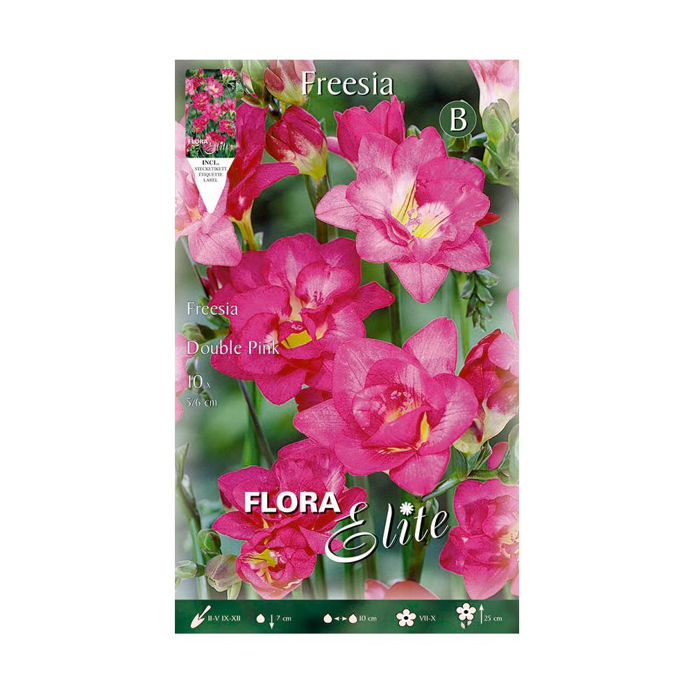 Bulbi di fresia doppia viola 10 pz