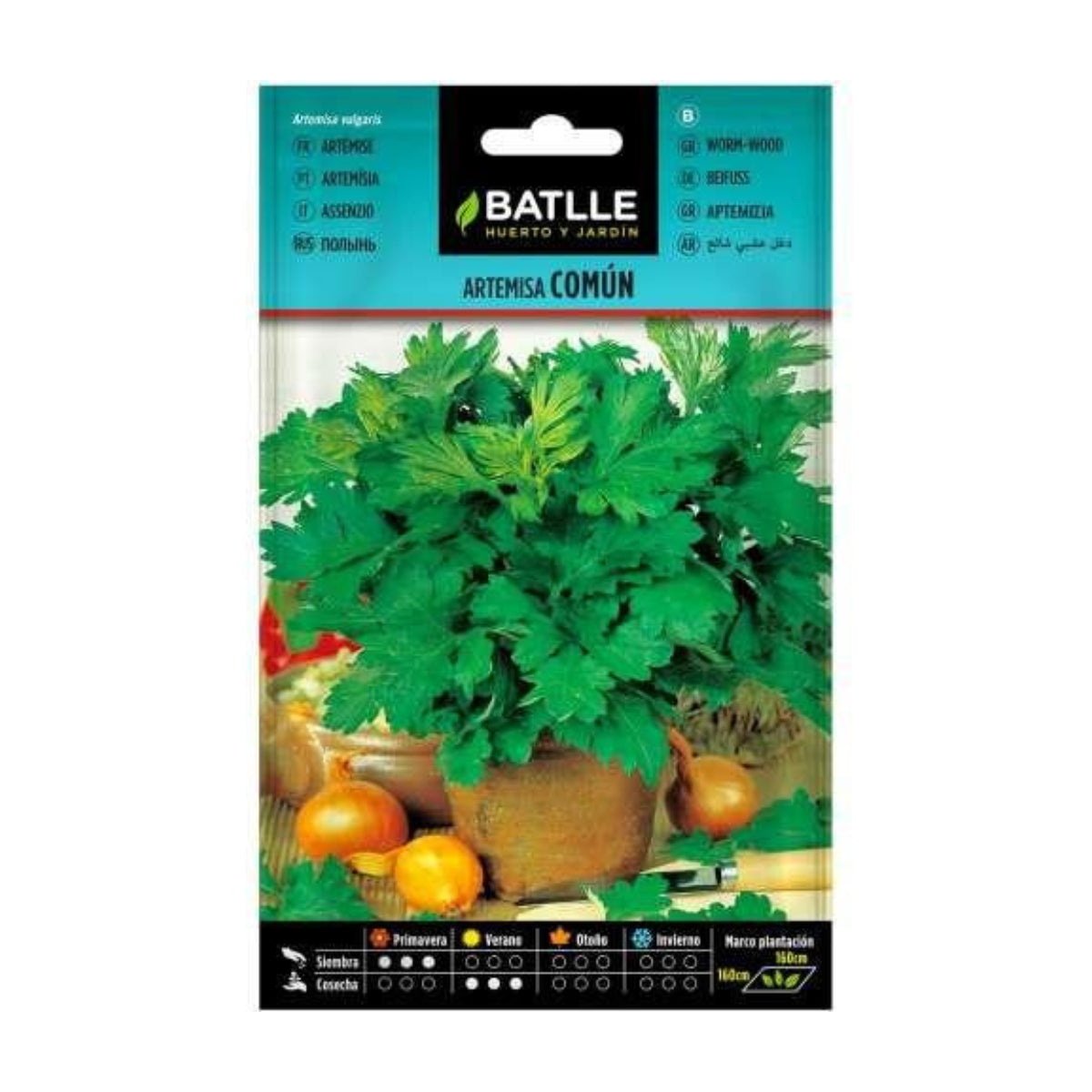 Semi di artemisia comune Batlle