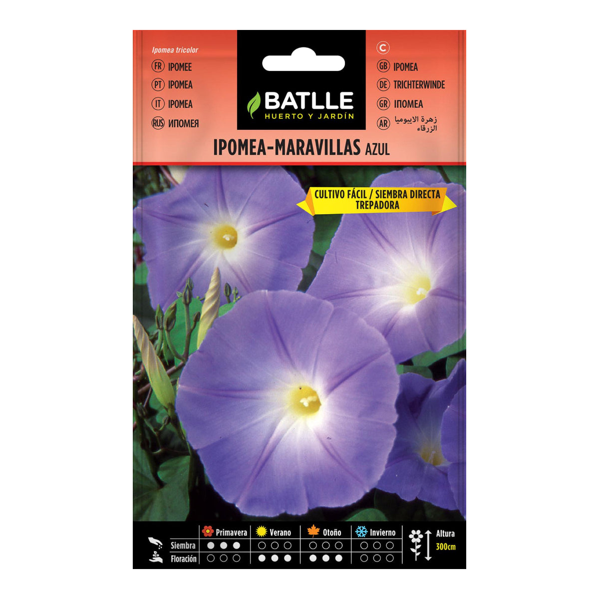 Nasiona niebieskiej powój Batlle