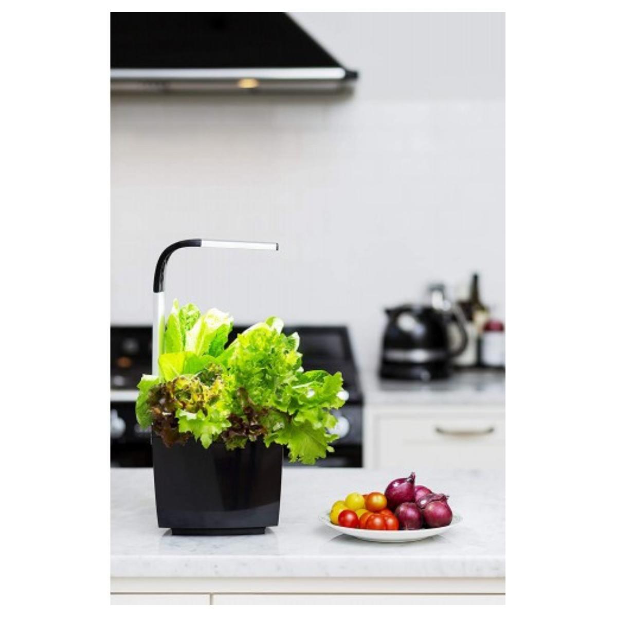 Zelfkweekpot T3 Kitchen Garden 20 x 17,5 cm Zwart