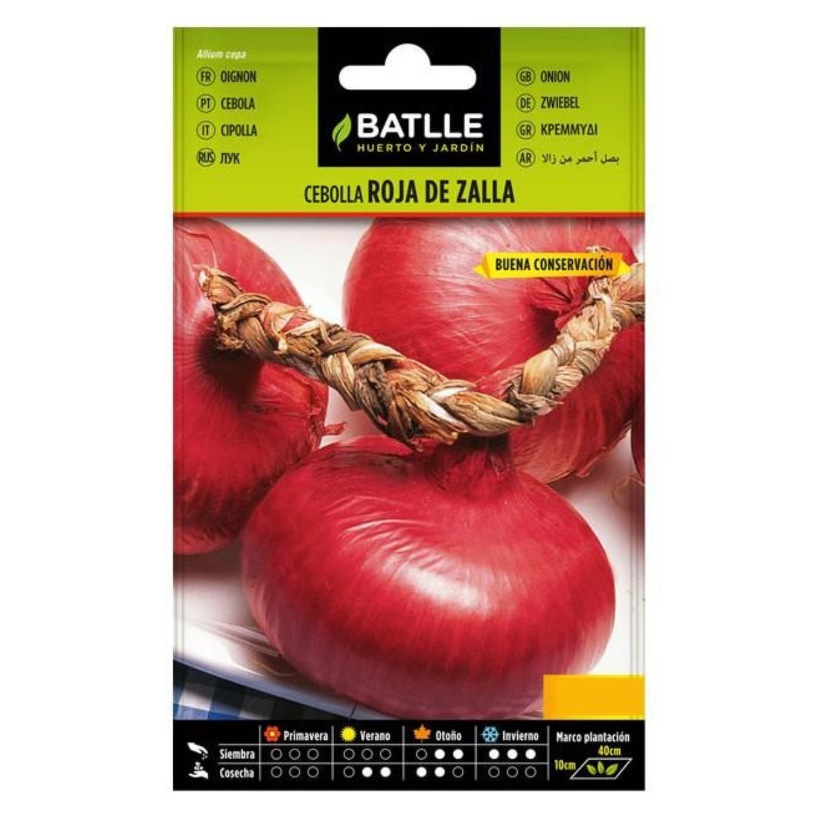 Rote Zwiebelsamen von Zalla Batlle