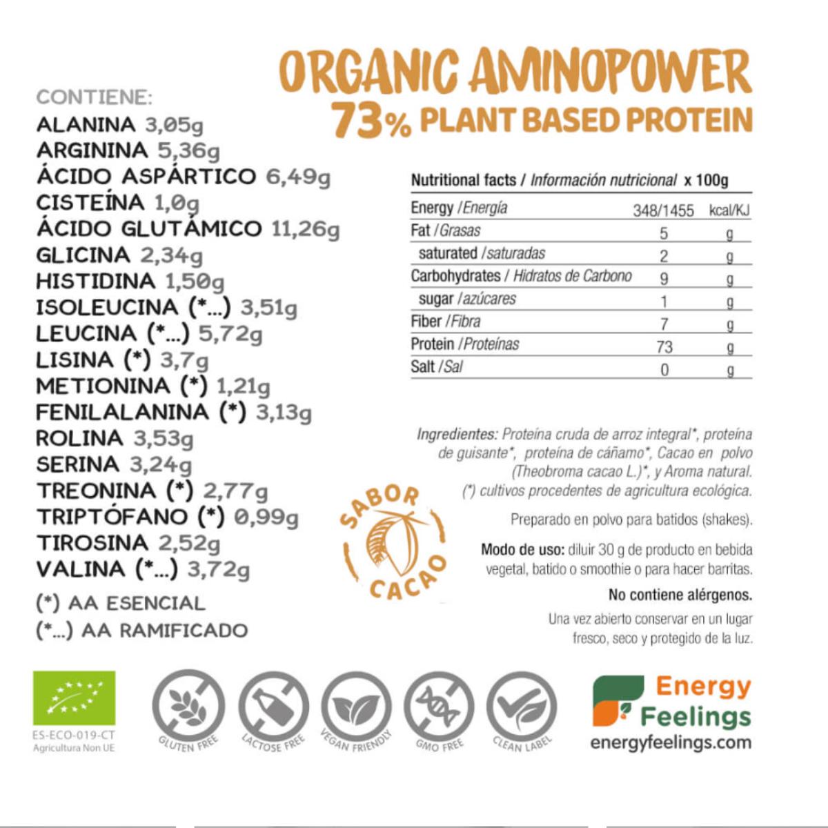 Organic Aminopower Vegan Protein 73% Cacao Energy Feelings 500 g